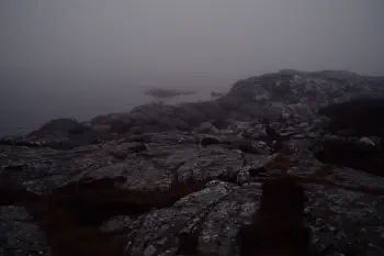 Foggy morning