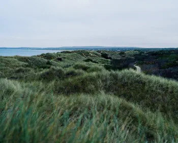 Tylösand