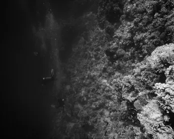 Wine Dark Sea