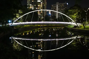 Bridge