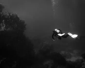 Wine Dark Sea