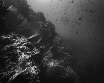 Wine Dark Sea
