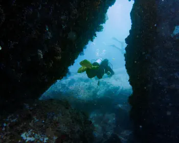 Diving
