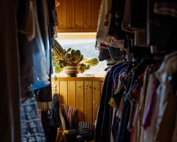 Wardrobe with cactus
