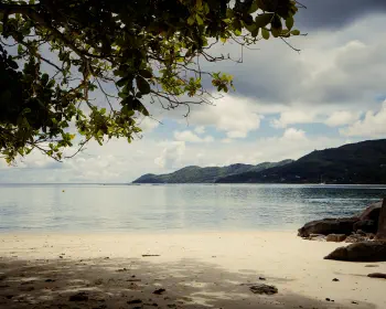 Anse Royale