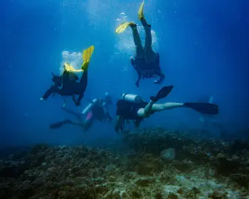 Diving