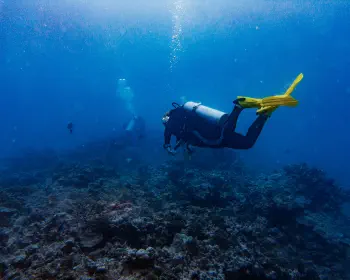 Diving