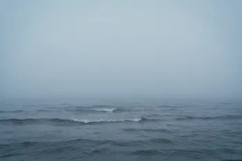 Foggy afternoon
