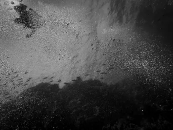 Wine dark sea #18