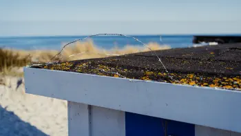 Barbed wire