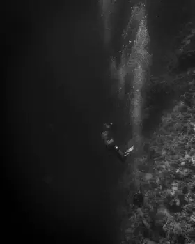Wine Dark Sea