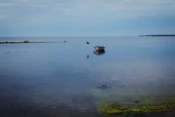 Calm day