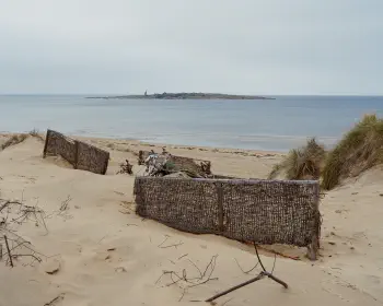 Tylösand