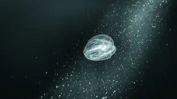 104513