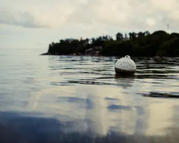 Pointe au Sel