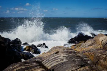 Splash