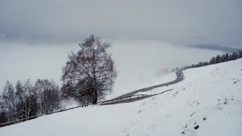 Foggy road