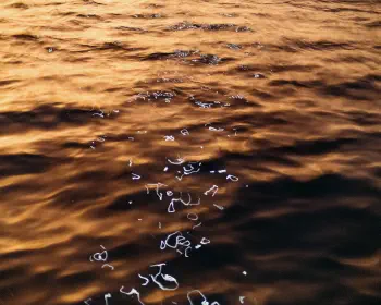 Indian Ocean