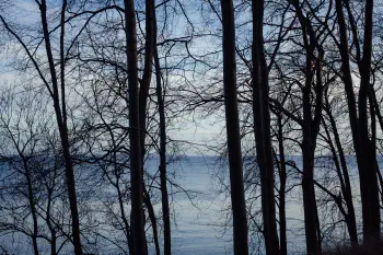 Sea, Louisiana, 2007