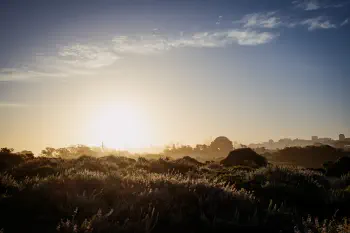 074052