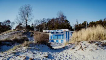The kiosk