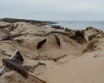Tylösand