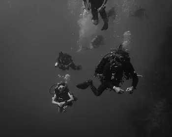 Jackson Reef