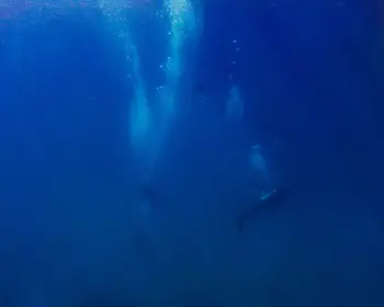 Diving
