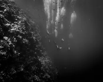 Wine Dark Sea