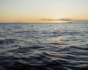 Indian Ocean