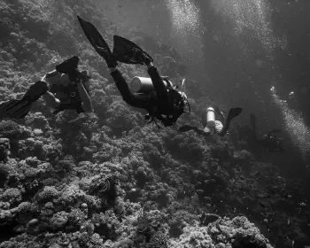 Wine Dark Sea