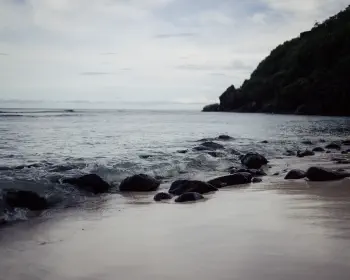Surfer's Beach