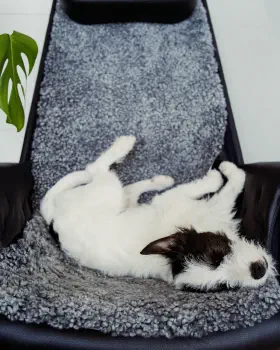Nap time
