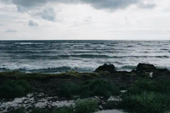 153816