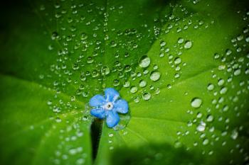 Droplets, Lund, 2006