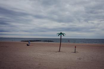 Coney Island, 2008