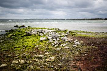Stranden