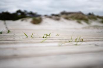 Stranden