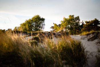 Stranden