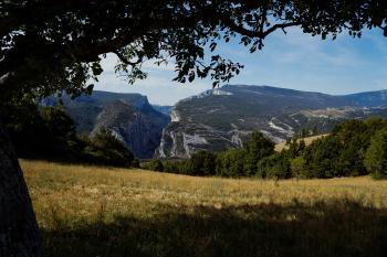 Verdon