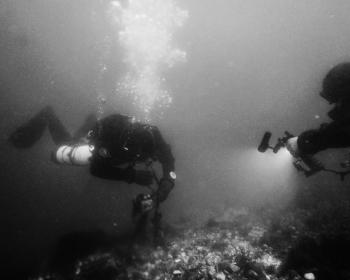 Wine Dark Sea