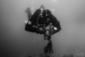 Diving