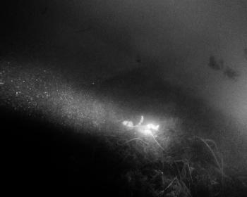 Wine Dark Sea