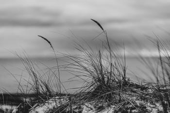 Stranden