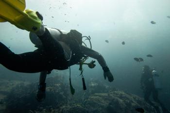 Diving