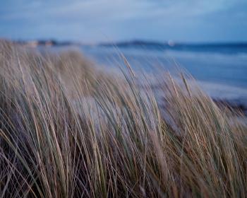 Stranden