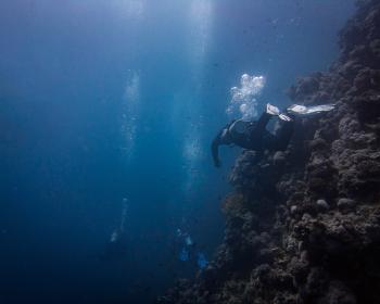 Diving