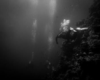 Diving