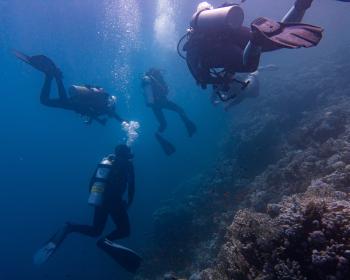 Diving