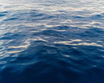 Indian Ocean